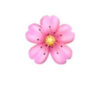 Agatha Srishtie (@srishtyranjan) 's Twitter Profile Photo Agatha Srishtie (@srishtyranjan) 's Twitter Profile Photo