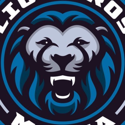 LionBrosMedia