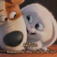 Ryan's 🤍😽 (@ryan_mth101) 's Twitter Profile