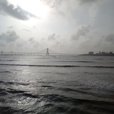 shubharjit87's profile picture. 