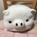 ブーコさん🌻🐼💝🌱🐷🌻 (@lrgixthlpl33052) Twitter profile photo ブーコさん🌻🐼💝🌱🐷🌻 (@lrgixthlpl33052) Twitter profile photo