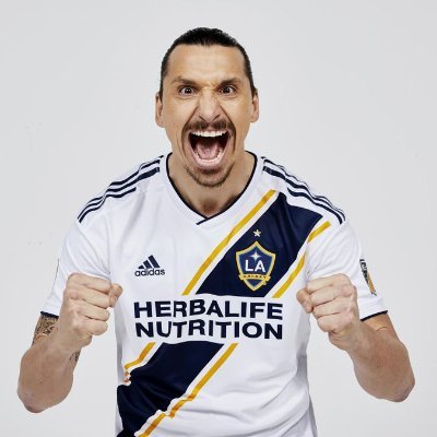 Original LA Galaxy & MLS fan. '96 til infinity!