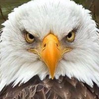 Margaret AU Grad πΊπΈ1776πΊπΈ (@aumargaret89) 's Twitter Profile