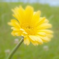 💛ポンコ@赤垣五月💛 (@pon512katsu724) 's Twitter Profile Photo