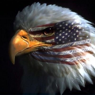 rdjeagle13's profile picture. 