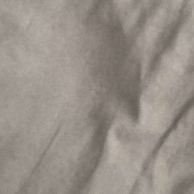 candleplant7864's profile picture. 