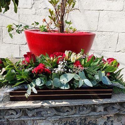 vcastilloh's profile picture. 