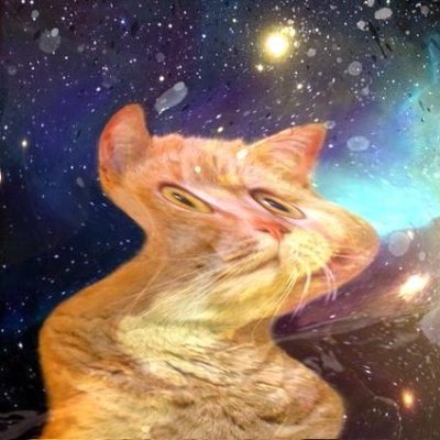 webnoye's profile picture. 프론트엔드 공부하는 취준백수