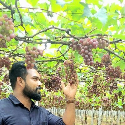 @lara_febci57026