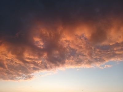 SUPREMEE___'s profile picture. 