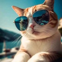 أجنادين🎖️🎖️ (@ajnadinfund) Twitter profile photo