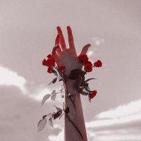 Elysiann (@lookhereagain) 's Twitter Profile