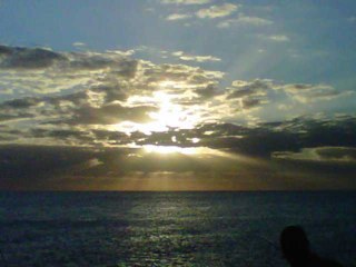 markthomsen55's profile picture. 