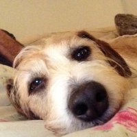 Grant Tantrum (@granttantrum) 's Twitter Profile