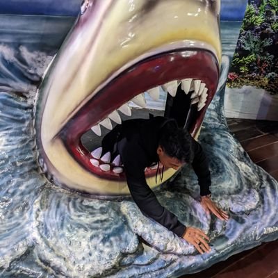 Gipata1's profile picture. 