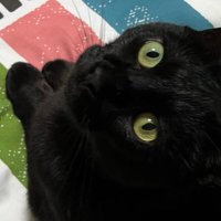 ゆかいじゅ＠KY (@ukaijyuky) Twitter profile photo