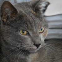 StephanPi ⁶⁶⁶ ❤️ Memecoin (@raley4l6yu) 's Twitter Profile