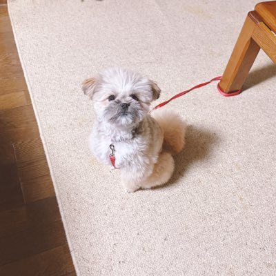 su204WaWa's profile picture. 