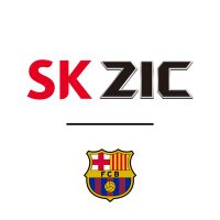 SKZIC MEA(@SKZIC_MEA) 's Twitter Profile Photo