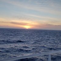 Lenchen H. (@lenchenhillm) 's Twitter Profile