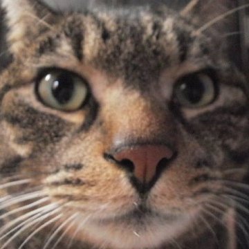 NEJIRI_'s profile picture. 