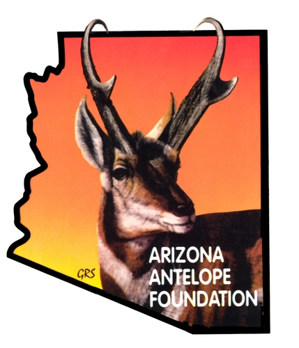 Conservation efforts in Arizona to give pronghorn antelope freedom to roam
