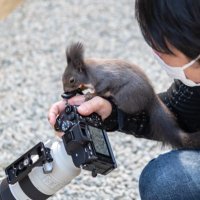 shion (@shion_329_) 's Twitter Profile