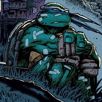 Lord_Jumpy's profile picture. Teenage Mutant Ninja Turtles Fanatic|🇯🇴|16