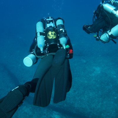 mtdiving Profile Picture