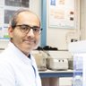 amir_zadpoor's profile picture. Antoni van Leeuwenhoek Prof, Chaired Prof Biomater & Tissue Biomech (TU Delft), Prof Orthop (LUMC), Biofabrication, 3D printing for medicine, Tweets = personal
