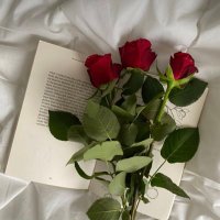 𝑯𝑨𝑱𝑬𝑹🤍. (@hajeralhinai) Twitter profile photo