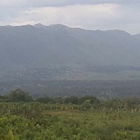 Viola Ochola (@viola2002) 's Twitter Profile