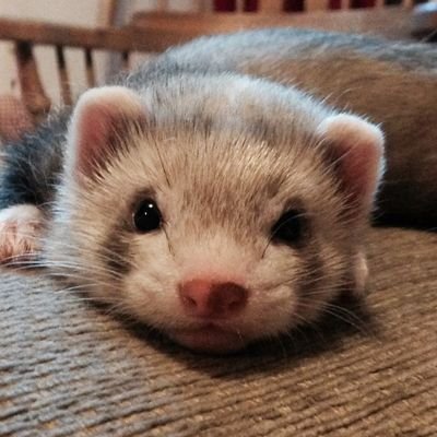 knmnml's profile picture. คนเราก็ท้อเป็นนะคับเว้ย ಥ⁠_⁠ಥ

เอ้บของเยียวยาใจ🥲