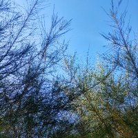 kakilangit (@kakilangitimur) 's Twitter Profile