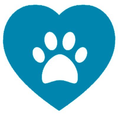 ¡Bienvenidos a la cuenta oficial de Amor en cada Pata! 🐾 Descubre el blog líder en noticias, curiosidades y recomendaciones para las mascotas domésticas. 🐶🐱