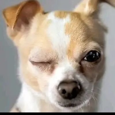 OctavianMwak's profile picture. Art for life😜😎
...