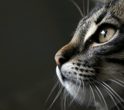 yama_moto_ta's profile picture. 