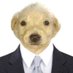ari (@cabommer) Twitter profile photo ari (@cabommer) Twitter profile photo