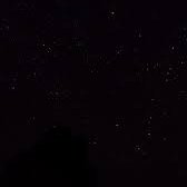 rabeeah_ahmed's profile picture. 