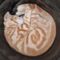 H (@hesamsaid) 's Twitter Profile Photo H (@hesamsaid) 's Twitter Profile Photo