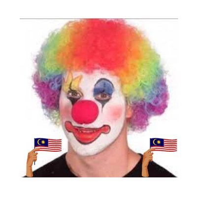#ClownMalaysian | You here so follow | End wokeness | DM for submissions