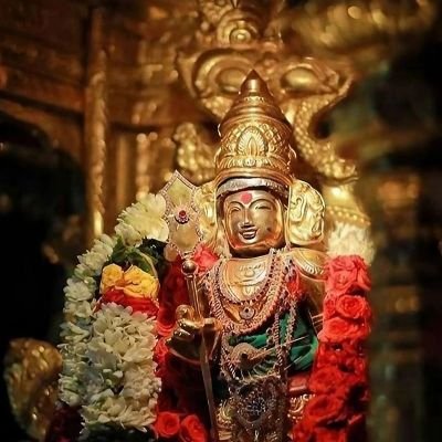 alaguvel947's profile picture. 