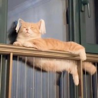 Jupiter7012 (@jupiter7012) 's Twitter Profile