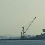 非対称性ゴリラ (@master_chanko) Twitter profile photo