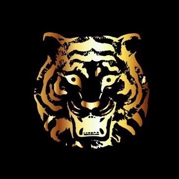 @FancyTigerBlack