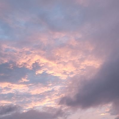akito_7717's profile picture. 双極性障害の闘病中/23歳、社会人/精神状態の変化を残していきます/DMは使いません