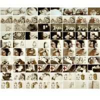 Daniel Pacheco Estefan (@dpacheco5) 's Twitter Profile Photo