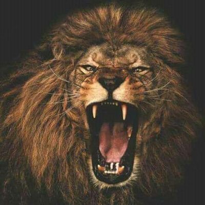 JohnSonKE_'s profile picture. Friendly 🥰||Music Lover💤||Writer 🦴🎓✍️¶¶Funny😂||Very Smart😋||Fashion Lover🎩|||Content💥Brand Promoter🤝🏿||DM for Ads and Promos💌👔.