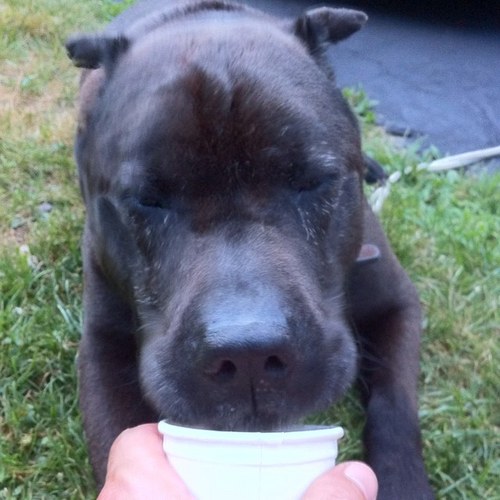 ccharleyjoy's profile picture. 