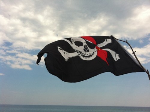 mish0k's profile picture. 